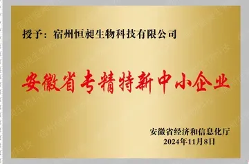 Anhui Specialized & Sophisticated SME certificate