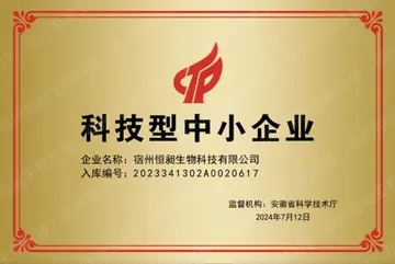 Technology-based SME certificate